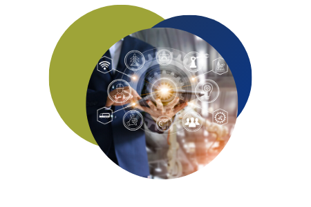 ERP implementation